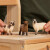 Schleich Farm World - Fårevenner - 42660