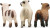 Schleich Farm World - Fårevenner - 42660