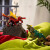 Schleich 70834 - Fire Saurian Vs Jungle Lizard - Eldrador