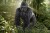 Schleich 14770 - Gorilla - Han - Wild Life