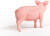 Schleich 13933 - Gris - Farm World