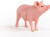 Schleich 13933 - Gris - Farm World