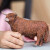 Schleich 13919 - Højslette Tyr - Farm World