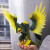 Schleich 70854 - Jungle Raptor - Eldrador