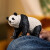 Schleich 14885 - Kæmpe Panda - Wild Life