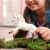 Schleich 14917 - Knabstrupper Hoppe Hest - Horse Club