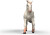 Schleich 14917 - Knabstrupper Hoppe Hest - Horse Club