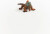 Schleich 14854 - Leguan - Wild Life