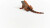 Schleich 14854 - Leguan - Wild Life