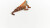Schleich 14854 - Leguan - Wild Life