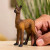 Schleich 14890 - Lama Føl - Farm World