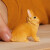 Schleich 13974 - Løvehovedkanin - Farm World