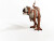 Schleich Dinosaurs - Majungasaurus - 15032
