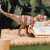 Schleich Dinosaurs - Majungasaurus - 15032