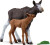 Schleich 42629 - Ælg Familie - Wild Life