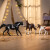 Schleich Horse Club - Paint Horse Hoppe - 14901