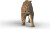 Schleich 15054 - Sabeltiger - Dinosaurs