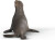 Schleich 14933 - Søløve - Wild Life