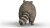 Schleich 14937 - Vaskebjørn - Wild Life