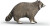 Schleich 14937 - Vaskebjørn - Wild Life