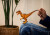 Schleich Dinosaurs - Velociraptor - 15045
