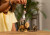 Schleich 42721 - Starter Set - Afrika Figurer - Wild Life