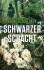 Schwarzer Schacht