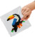 Perler Og Perleplade Sæt - Junglen - Ses Creative - Beedz