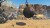 Sine Mora