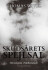Skudsårets Spejlsal