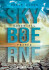 Skyboerne 3