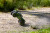 Blackzon - Rc Monster Truck Bil - Slyder Mt Turbo 116 4Wd 2S - Grøn