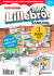 Sofus Lillebror Samling