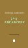 Spilpædagogik