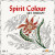 Spirit Colour