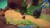 Spirit Of The Island Paradise Edition