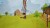 Sports Camp A 35-Game Adventure