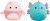 Squishmallows - 40 Cm P27 - Beena Parakeet