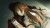 Steins Gate 0