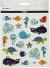Stickers - Havets Dyr - Ark 15X16 5 Cm - 1 Ark