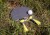 Bordtennis Bat - Zircon - Sunflex