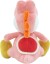 Yoshi Bamse - Super Mario - Pink - 20 Cm