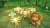 Super Monkey Ball Banana Blitz Hd