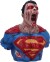 Superman Bust - Dceased - Dc Comics - Nemesis Now - 30 Cm