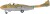 Airfix A40004 - Swedish Air Force 100Th Anniversary Set Fly - 1 72