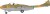 Airfix A40004 - Swedish Air Force 100Th Anniversary Set Fly - 1 72