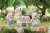 Sylvanian Families Figurer - Flora Kanin Familie - 5735