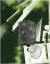 Technaxx - Natur Vildtkamera - Tx-69