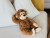 Teddy Hermann - Abe Bamse - Ricky - 32 Cm