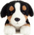 Teddy Hermann - Liggende Berner Sennen 32 Cm